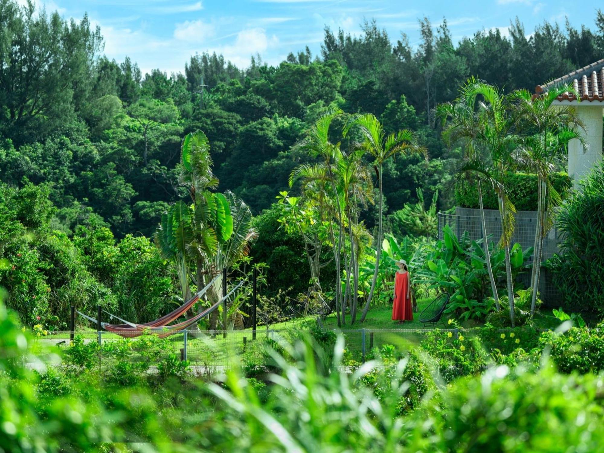 Oriental Hotel Okinawa Resort & Spa Наґо Екстер'єр фото A view of the forest from the house